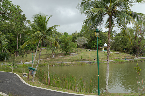 City park in Kuching, Malaysia, tropical garden with large trees and lawns, gardening, landscape design, path, lake.