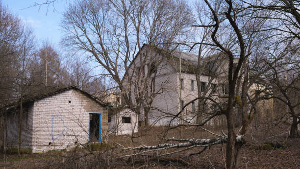 istock Part of a bomb-damaged brick building 1481048054