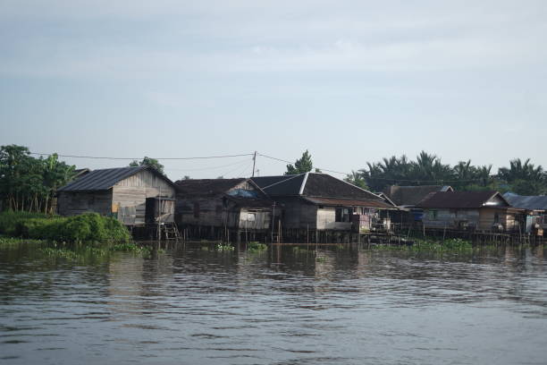 istock Typical Banjar people house who live on the river side 1481049551