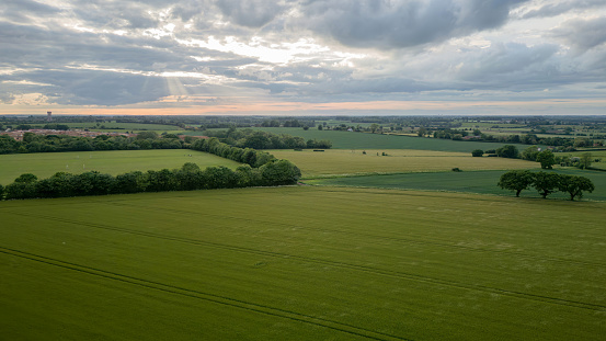 Farm fields in Felixstowe aerial drone view