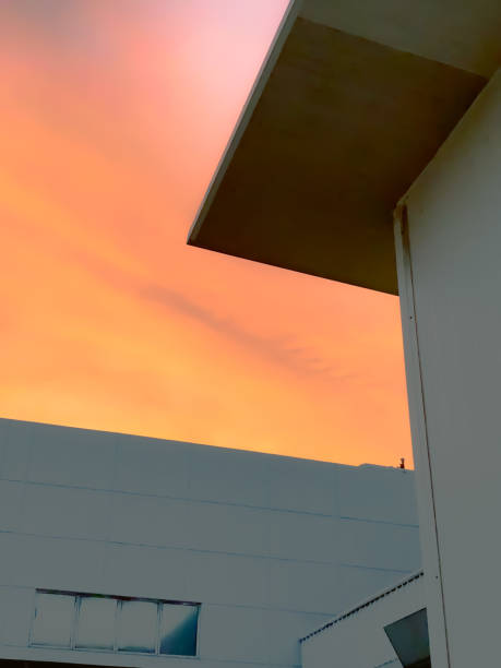 istock Sunset of the day 1481058346