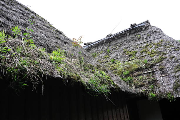 Old ceramic tiles on a house roof