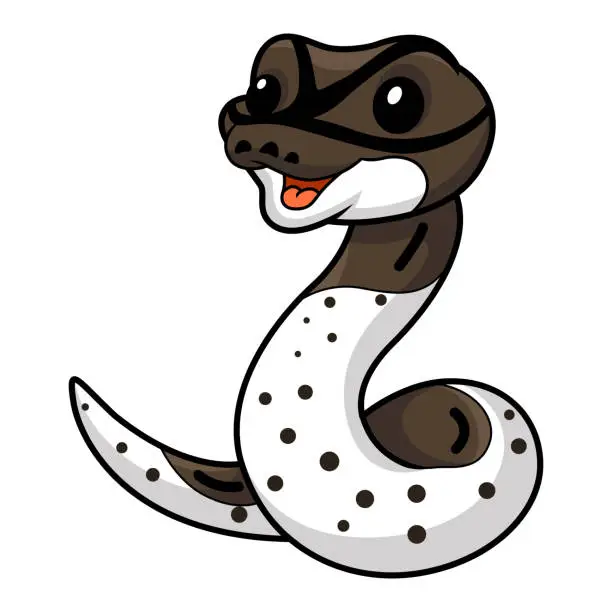 Vector illustration of Cute oreo pied ball python cartoon