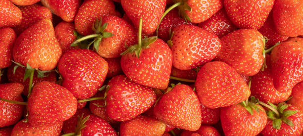 istock Fresh organic red strawberry fruit background 1481071118