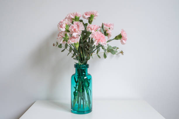 istock Carnations flower in the glass vase. 1481076560