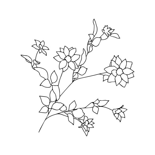 Flower line art. Minimalist contour drawing. Line art Flower line art. Minimalist contour drawing. Line art. Vector floral border black white roses silhouette stock illustrations