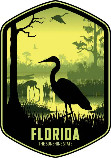 Vector illustration of Florida vector label with Herons in swamp wetland