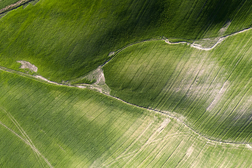 Aerial photographic documentation of the shapes of cultivated fields in Tuscany Italy