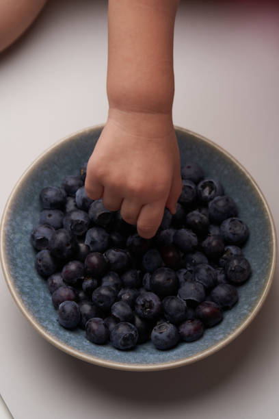 istock Baby hand takes fresh blueberry from bowl 1481082879