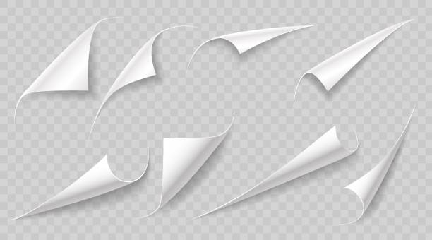 Curly paper page corners, paper sheet turn curls Curly paper page corners, paper sheet turn curls and flips, vector sticker fold edges. Realistic paper page corner curls on transparent background with shadow, paper sheet rolled up peel corners ripped skin stock illustrations