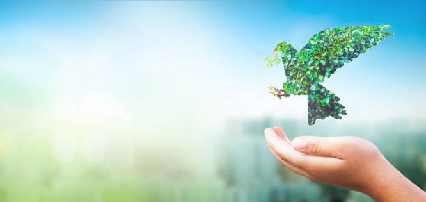 istock world environment and earth day, hands holding  Peace dove over blurred nature background. 1481090273