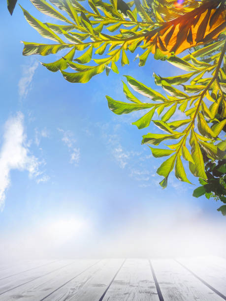 Wood floor or plank table with floral tropical summer background. Empty space for text or presentation product