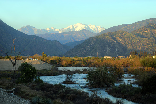 The golden glow upon the snow capped slopes of Mt Baldy at sunset as seen through the opening of the San Gabriel River Canyon from the north bank of the San Gabriel River in the city of Duarte.