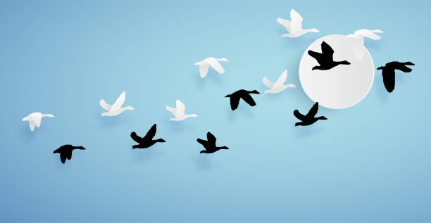 istock duck or teal birds flying to the sky on blue background and sun. paper art concept. 1481108518