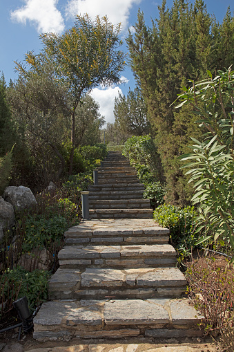 Stone stairs among greenery