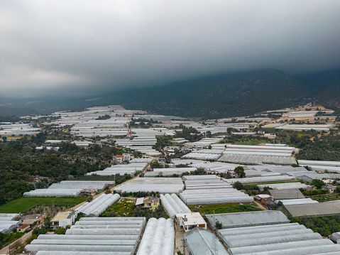 Antalya region greenhouse cultivation, greenhouse cultivation, production and rich agricultural regions