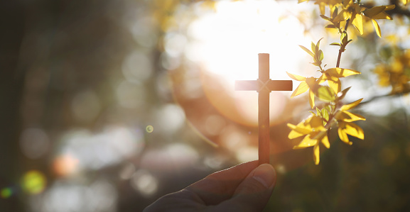 On a warm spring day with strong sunlight, he is holding yellow forsythia flowers and buds and the Holy Cross of Jesus Christ in his hand.