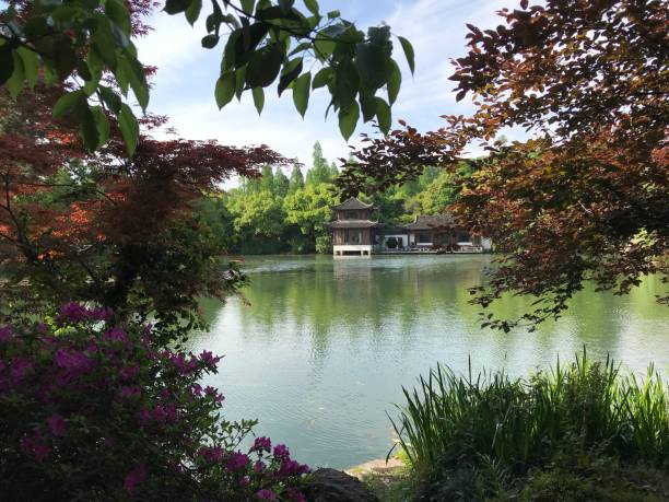 West lake West lake in Hangzhou. A place filled with oriental charm west lake stock pictures, royalty-free photos & images