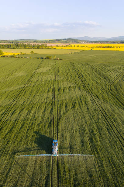 istock aerial view of the village fields 1481113207
