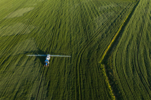 istock aerial view of the village fields 1481113829
