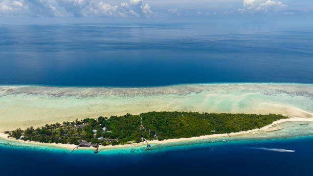 istock Tropical island with beach. Semporna, Sabah, Malaysia. 1481114004