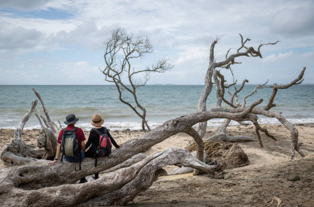 한 쌍이 손을 잡고 해변에서 쓰러진 나무 줄기에 앉아 있다. 롱 베이 해안 산책. 오클랜드. - long bay 뉴스 사진 이미지
