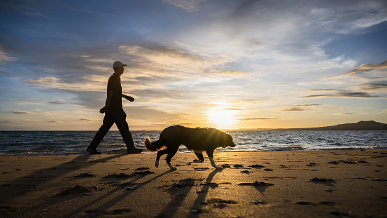 Senior man walking his golden retriever on the beach.