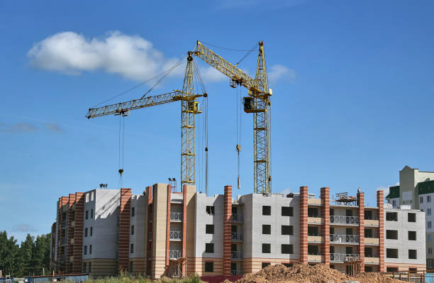 istock Panoramic view of construction sites and many cranes working 1481116924