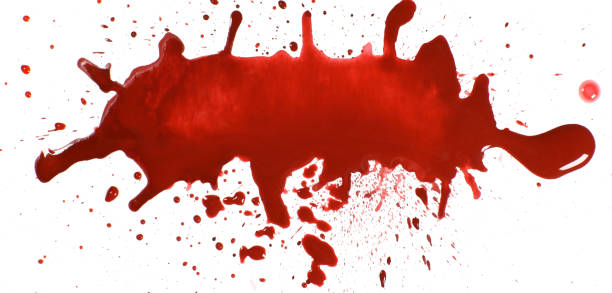 istock Blood puddle with streaks isolated on white 1481122464