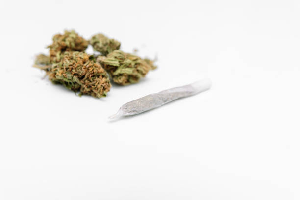 istock cannabis joint and Medical marijuana bud on white background 1481126078