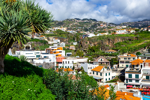 Madeira. Camara de Lobos. Fisherman village, popular tourist destination.Madeira Island, Portugal.