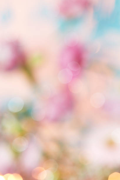 Abstract blurred floral background with spring and Mother's Day concept. Creative bokeh in pastel colors.