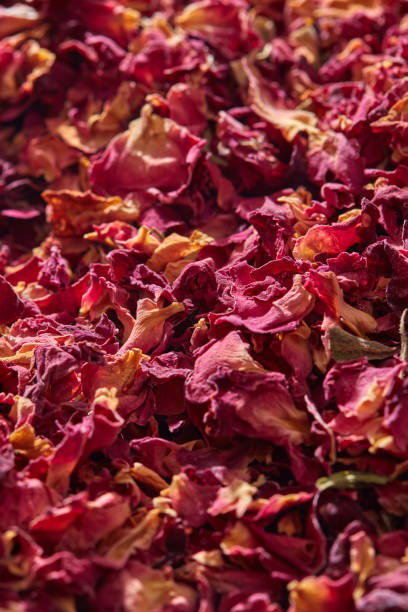 istock Natural dried rose petals, close up. 1481129459