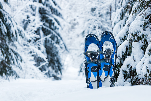 Blue snowshoes in winter snowy forest. Object in focus, background is blurred