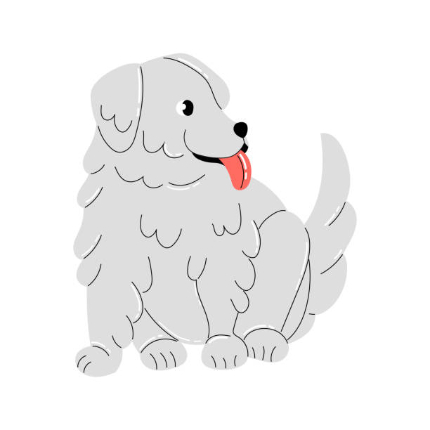 illustrazioni stock, clip art, cartoni animati e icone di tendenza di simpatico cucciolo grigio isolato su sfondo bianco. adorabile cagnolino birichino seduto e sorridente. animale domestico divertente felice. illustrazione vettoriale minimalista piatta. animale domestico. - spitz type dog immagine