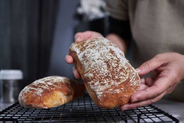 istock homemade whole wheat ciabatta bread 1481137845