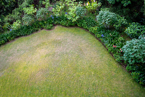 Aerial view of backyard garden