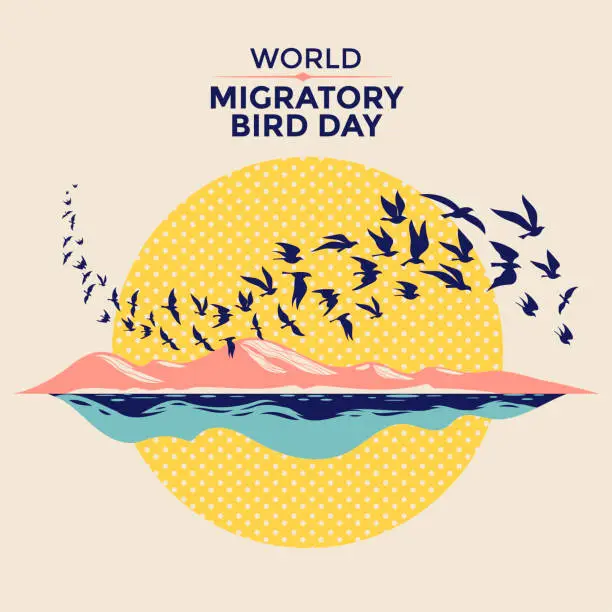 Vector illustration of Illustration World Migratory Bird Day Celebrate