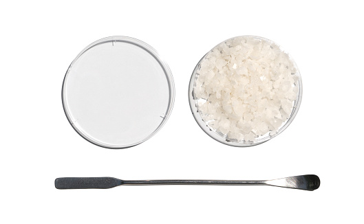 Flake salt in Petri dish with plastic lid placed next to the stainless spatula on laboratory table. Chemical ingredient for Cosmetics and Toiletries product. Top View