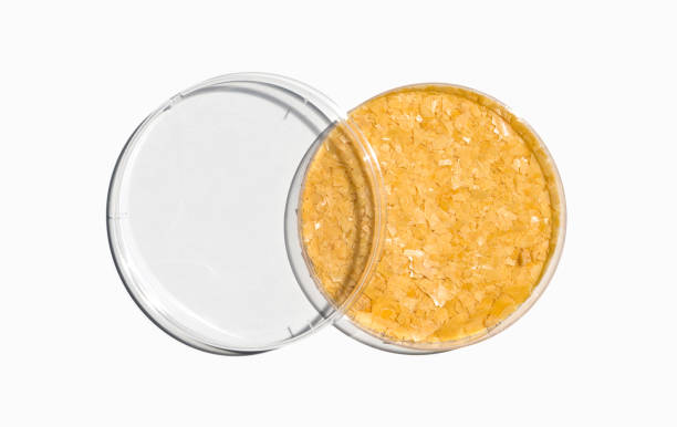 istock Carnauba Wax in Petri dish with plastic lid on laboratory table. Top view 1481142894