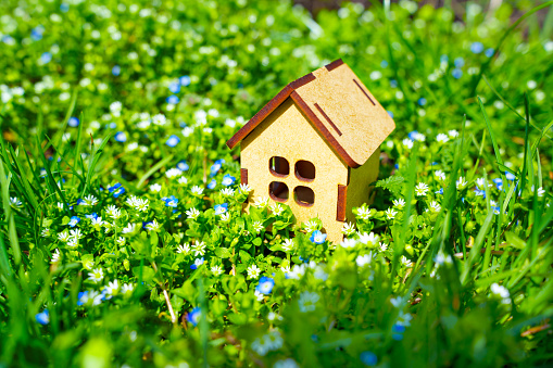 Vibrant springtime background: miniature wooden house standing on a meadow of fresh green grass and vibrant field flowers.