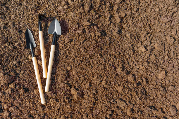 istock Miniature Garden Tools on Freshly Tilled Soil 1481144514