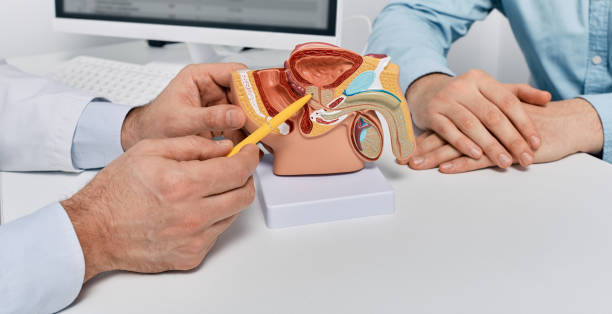 istock Doctor consulting man patient with suspected prostate cancer using male reproductive system model while visit in urology clinic. Prostate problems and treatment 1481144581
