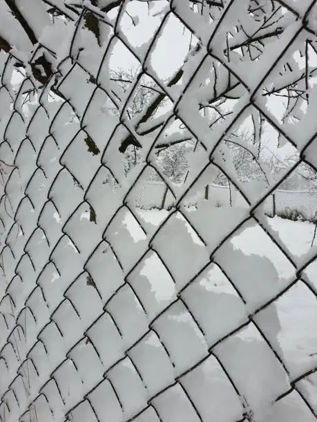winter - wire-mesh fence covered by white snow
