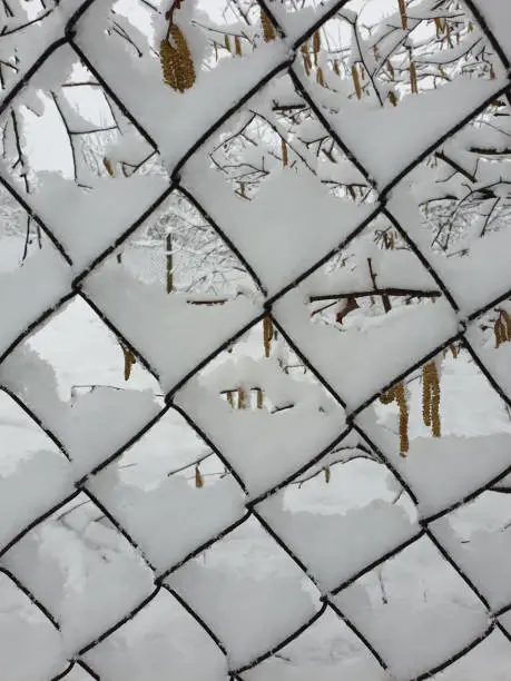winter at countryside -  wire-mesh fence covered by white snow