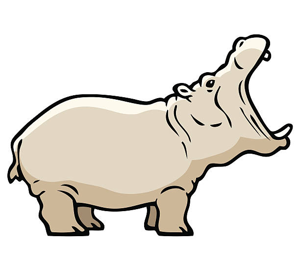 Hippo Stock Illustration - Download Image Now - Hippopotamus, Line Art,  Mouth Open - iStock