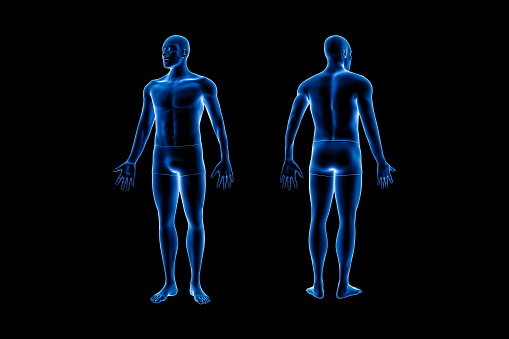 Front and back views of full human male body 3D rendering illustration isolated on black background with copy space. Anatomy, science, biology, medical concept.