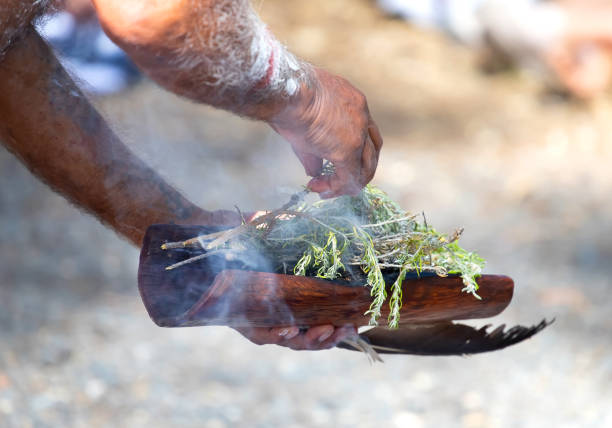 Human hands with green branches of eucalyptus, the fire ritual rite at an indigenous community event in Australia