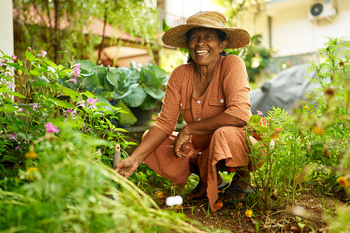 Elderly happy Indian female farmer in straw hat sitting in garden taking care of plants. Senior Sri Lankan smiling woman in her orchard planting flowers into soil. Gardening concept. Happy retirement