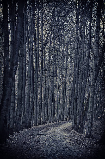 istock Alley in the park 148115253